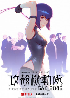 Ghost in the Shell: SAC_2045