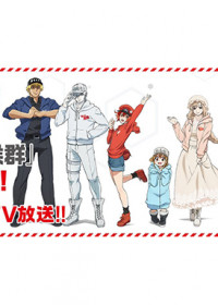 Cells at Work!: The Common Cold