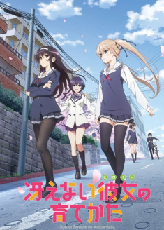 Saekano: How to Raise a Boring Girlfriend